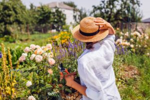 Inzicht in de chaostuinier-trend: hoe je deze gemakkelijk kunt adopteren