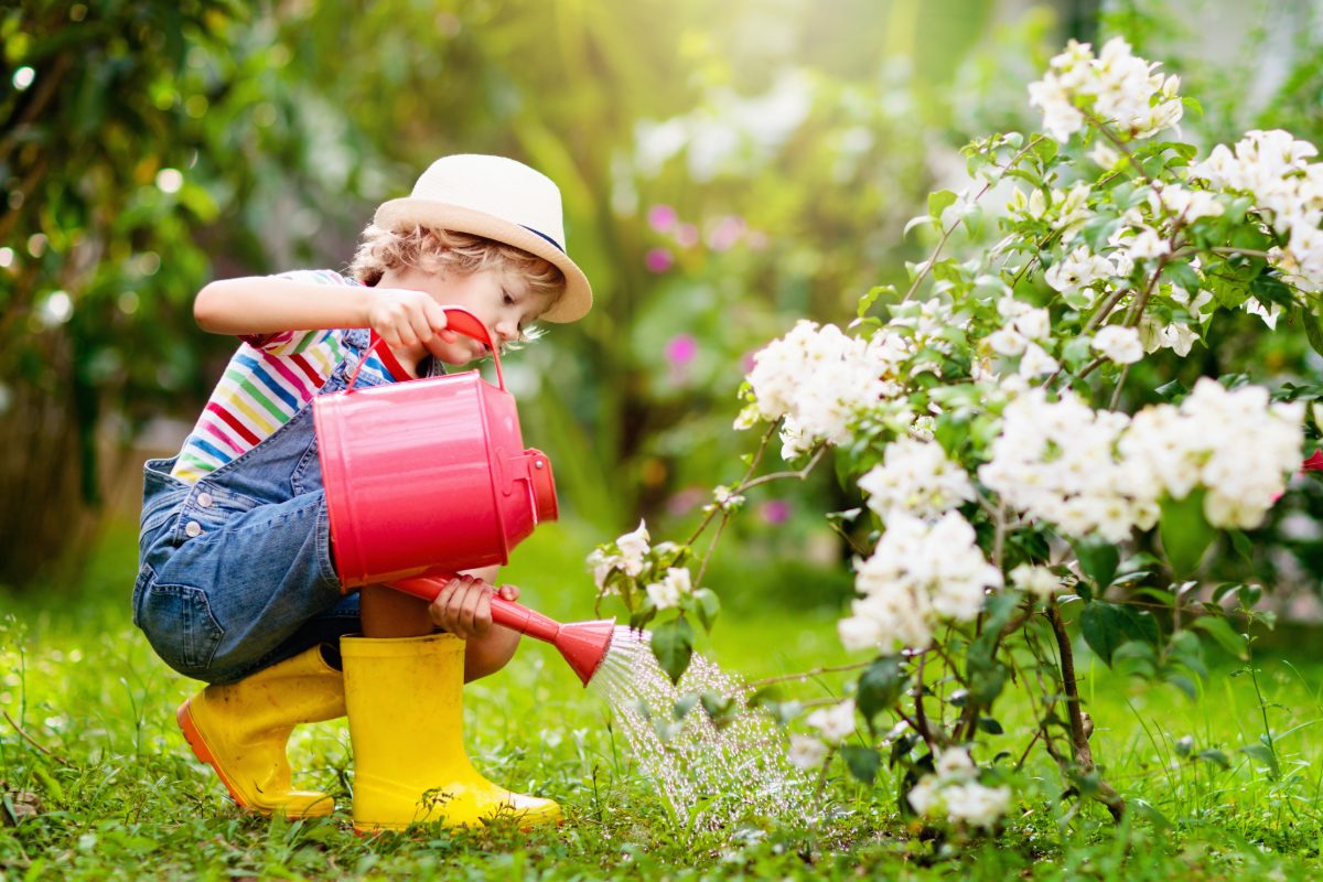Je planten water geven in de zomer: wat te veel mensen niet weten volgens een tuinier