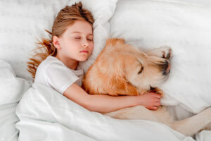 Samen in bed met je hond: waarom het zo fijn werkt