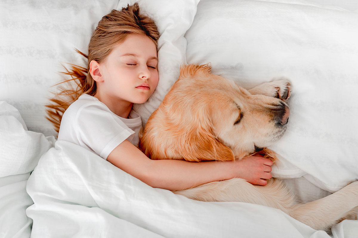 Samen in bed met je hond: waarom het zo fijn werkt