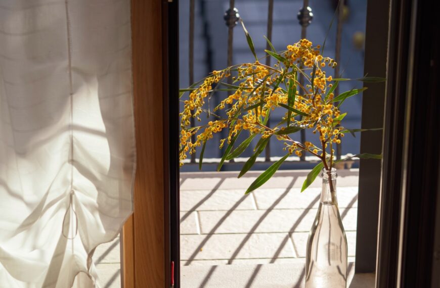 Deze weinig bekende tip houdt je balkon de hele zomer koel tegen lage kosten