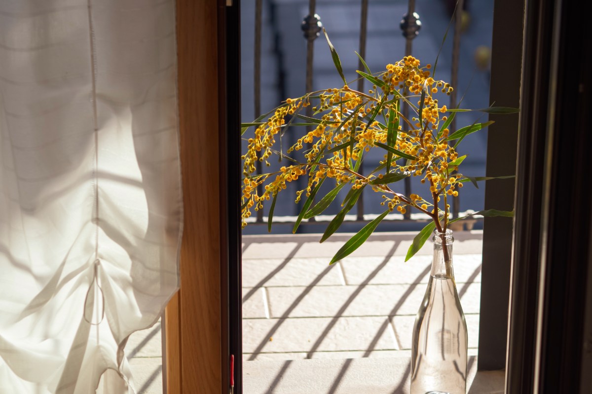 Deze weinig bekende tip houdt je balkon de hele zomer koel tegen lage kosten